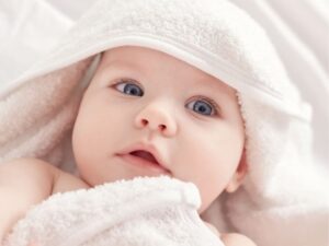 Smart and Safe: The Ultimate Guide to Baby Food Storage Containers