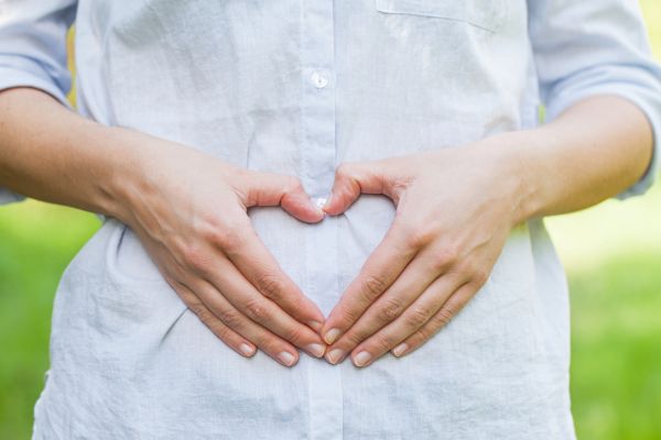 second trimester guide
