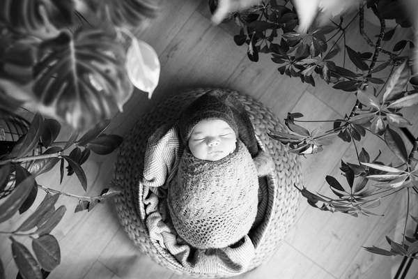 newborn photo lighting tips at home